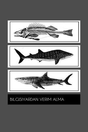 动物印花华亿平台图片