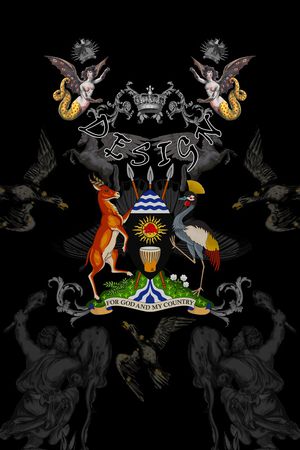 PHILIPP PLEIN印花华亿平台图片