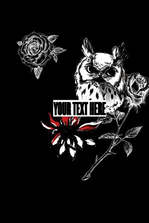 猫头鹰印花华亿平台图片