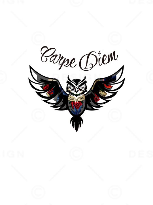 猫头鹰印花华亿平台图片