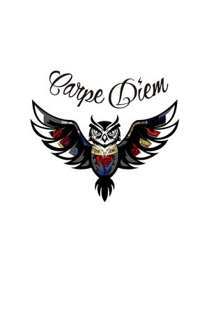 猫头鹰印花华亿平台图片