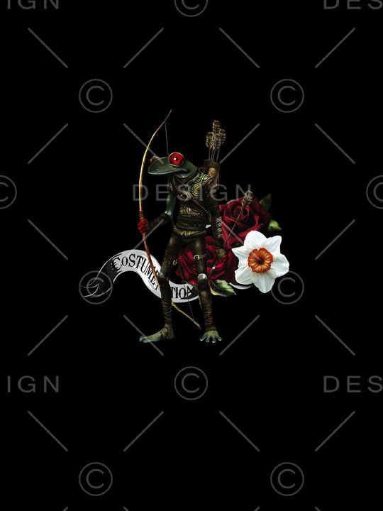 青蛙印花华亿平台图片