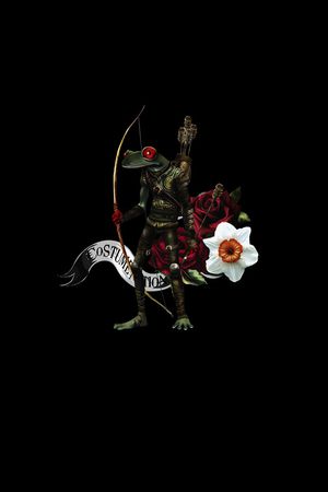 青蛙印花华亿平台图片