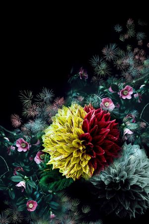 数码华亿平台印花华亿平台图片