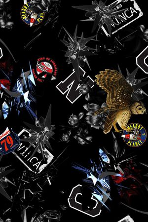 老鹰印花华亿平台图片