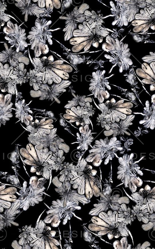 黑白华亿平台印花华亿平台图片