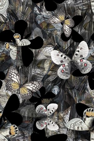 昆虫印花华亿平台图片