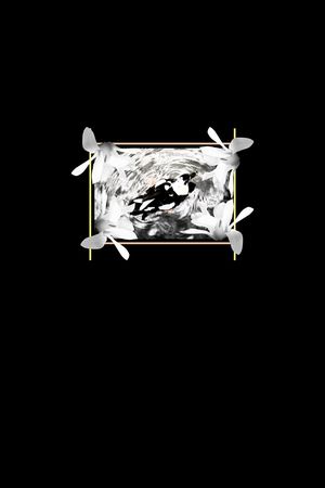 鸟印花华亿平台图片