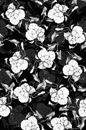 黑白华亿平台印花华亿平台图片