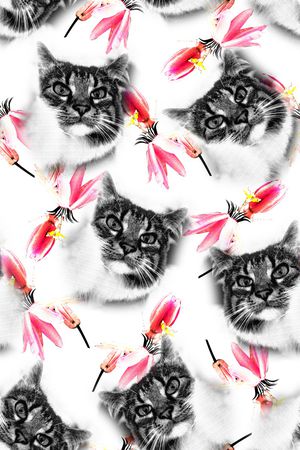 猫印花华亿平台图片