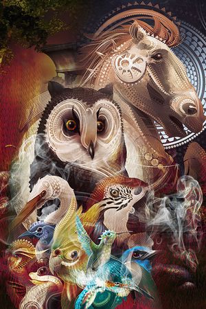 猫头鹰印花华亿平台图片