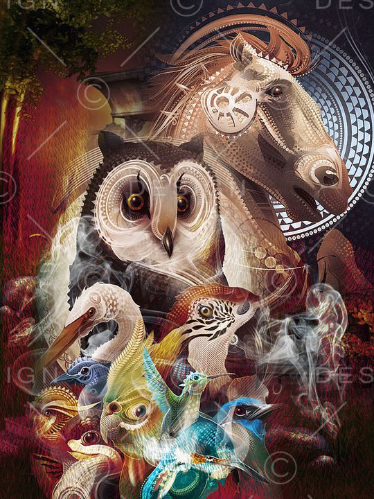 猫头鹰印花华亿平台图片