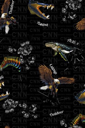 老鹰印花华亿平台图片