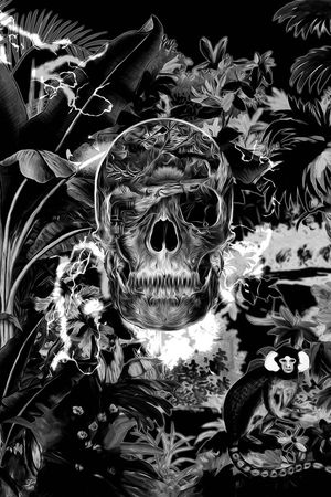 骷髅印花华亿平台图片