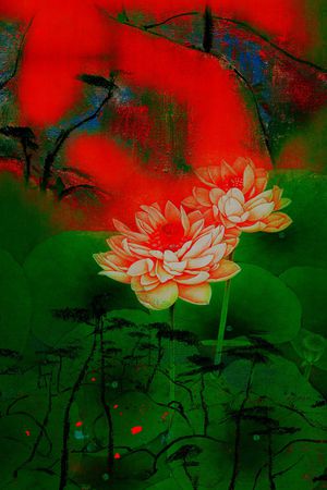 荷花印花华亿平台图片