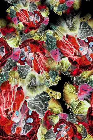 数码华亿平台印花华亿平台图片