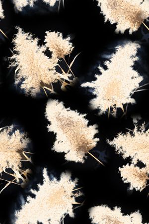 芦苇印花华亿平台图片