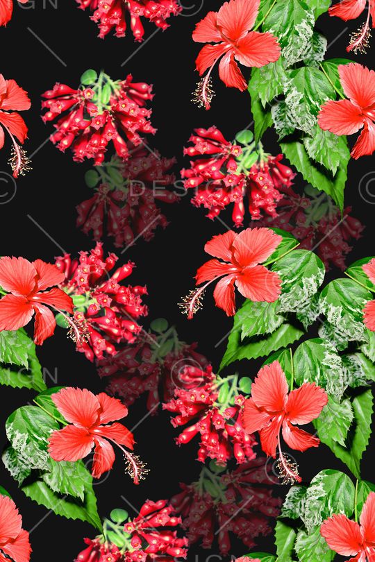 春夏华亿平台印花华亿平台图片