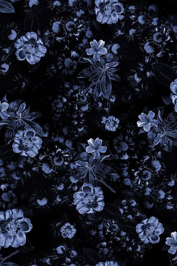 1086654-FLZ18-6-5.....