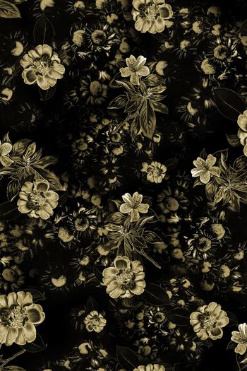 1086655-FLZ18-6-5...