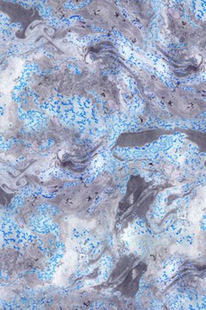 迪拜花卉印花华亿平台图片