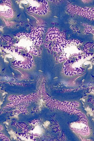 迪拜花卉印花华亿平台图片