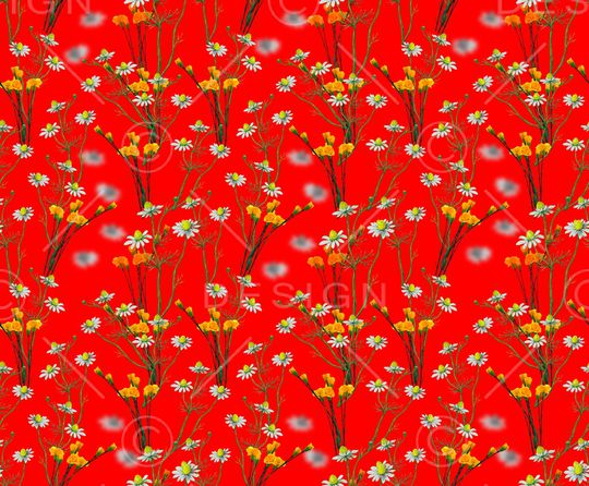 菊花印花华亿平台图片