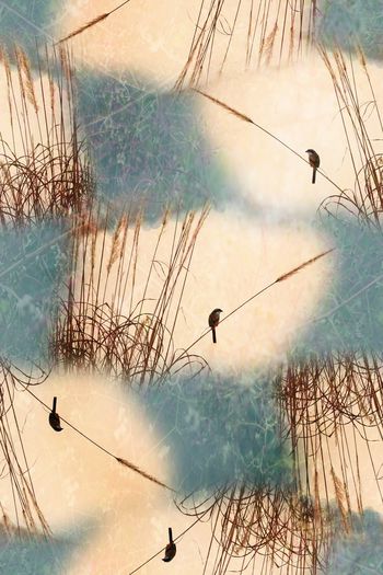 数码华亿平台印花华亿平台图片