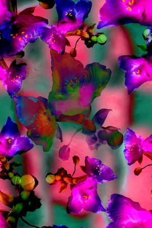 数码华亿平台印花华亿平台图片