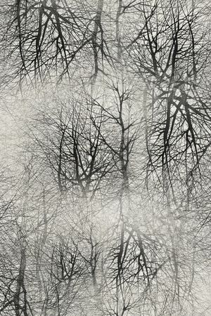 线条印花华亿平台图片