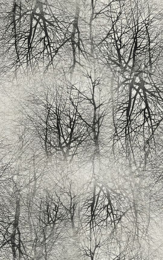 线条印花华亿平台图片