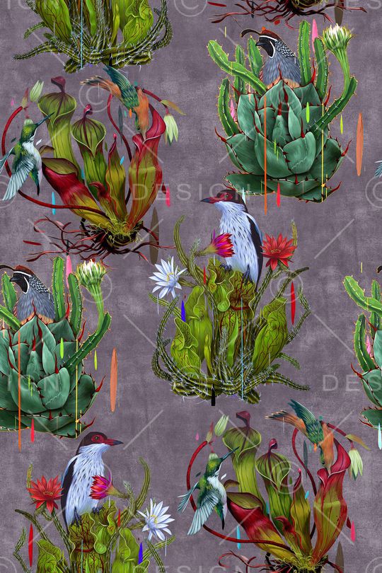 仙人掌印花华亿平台图片