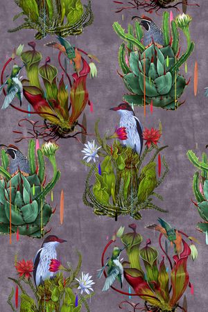 仙人掌印花华亿平台图片