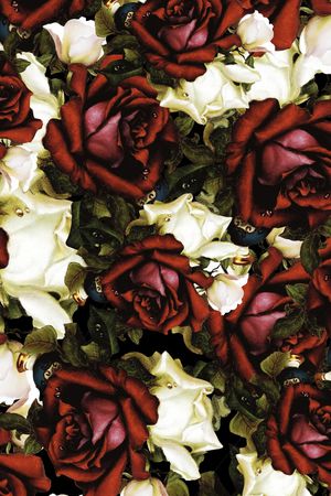 数码华亿平台印花华亿平台图片