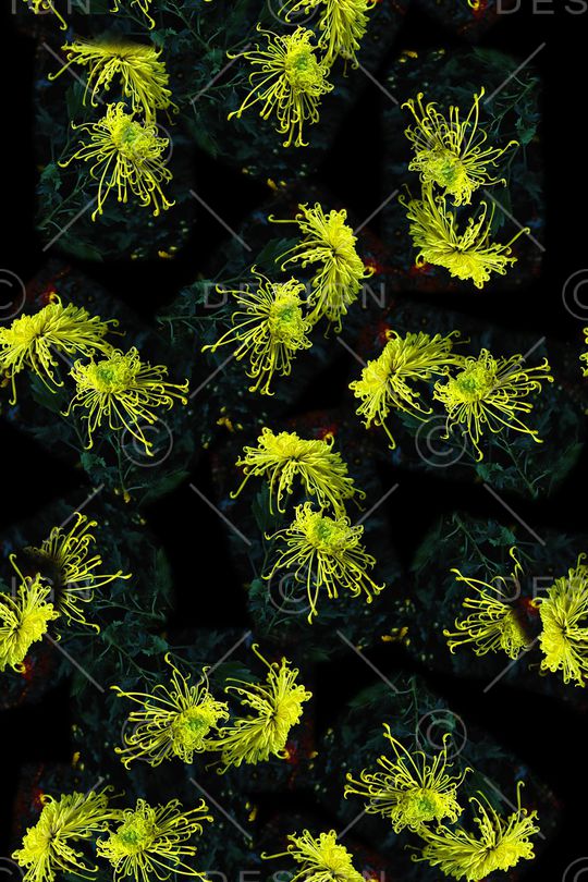 淑女印花华亿平台图片