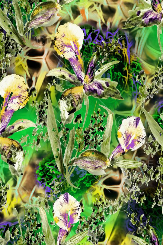 数码华亿平台印花华亿平台图片