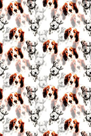 大牌风印花华亿平台图片