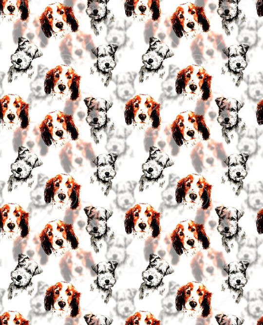 大牌风印花华亿平台图片