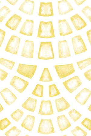 白底花印花华亿平台图片