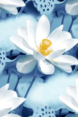 素雅印花华亿平台图片