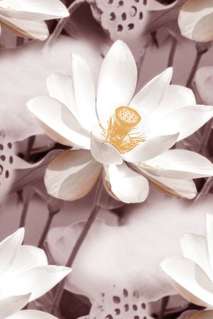 素雅印花华亿平台图片