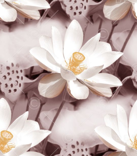 素雅印花华亿平台图片