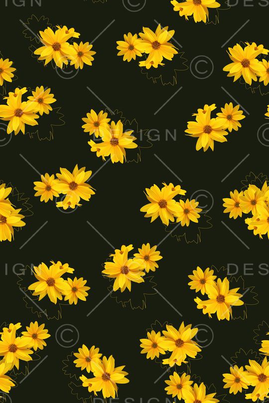 淑女印花华亿平台图片