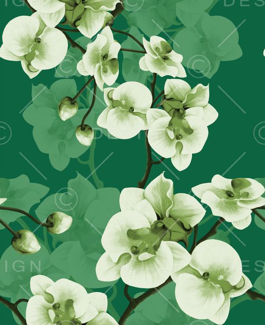 玉兰花印花华亿平台图片