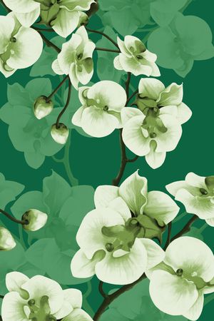 玉兰花印花华亿平台图片