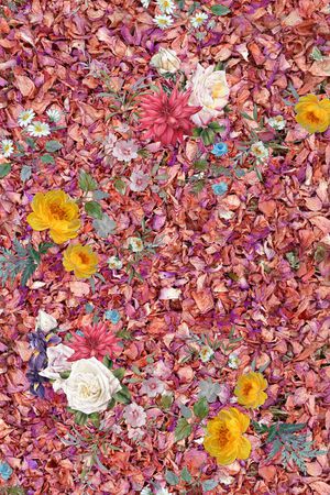 秋冬华亿平台印花华亿平台图片