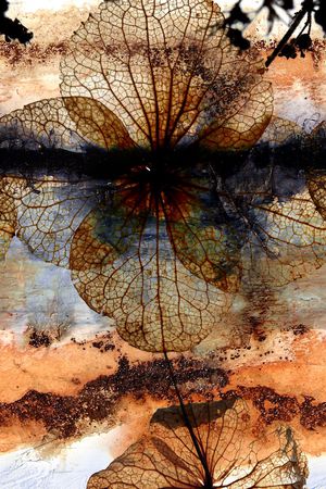 风景定位印花华亿平台图片