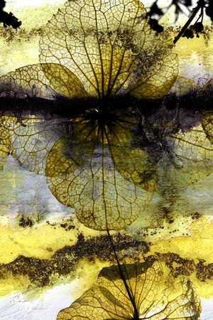 风景定位印花华亿平台图片