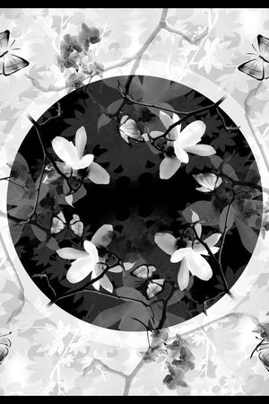 玉兰花印花华亿平台图片