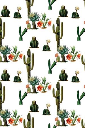 仙人掌印花华亿平台图片